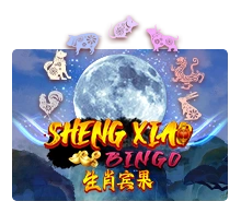 Sheng Xiao Bingo - BOYBET168