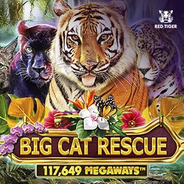 Redtiger : Big Cat Rescue Megaways - BOYBET168