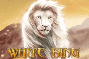 White King - BOYBET168
