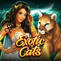 Exotic Cats - BOYBET168
