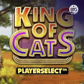 Bigtime : King of Cats - BOYBET168