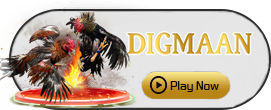 Digman - BOYBET168
